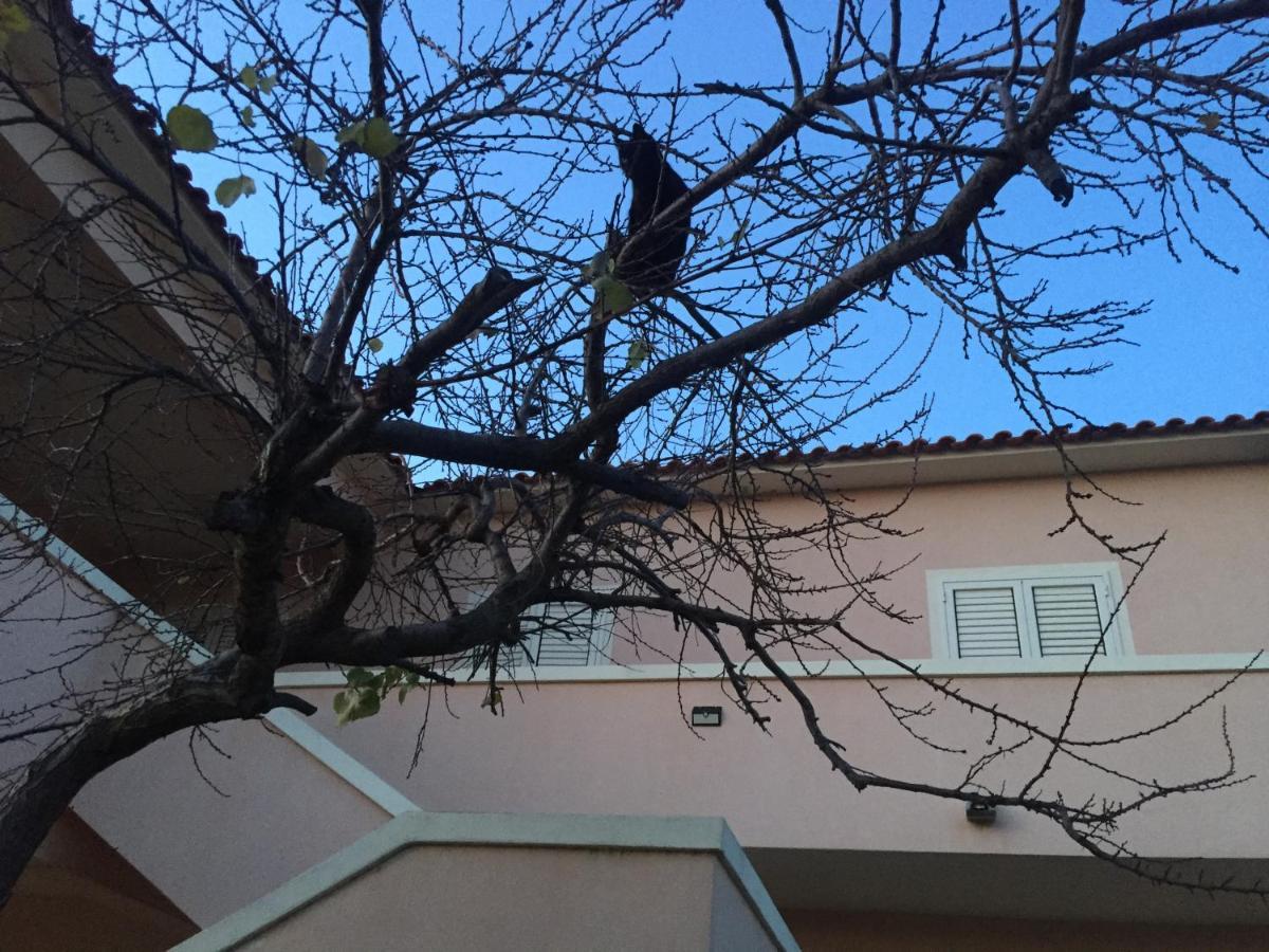 Sardegna Mer et Soleil Olbia Eksteriør bilde